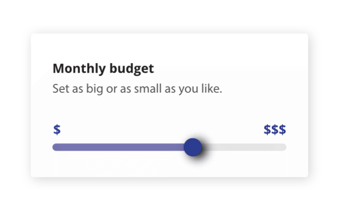 google ads budgets are flexible